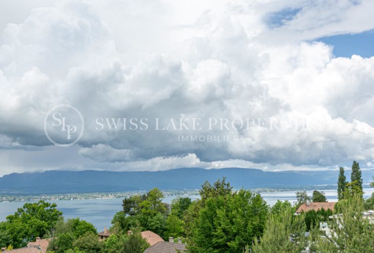 OFF-Market Magnificent Villa with lake view